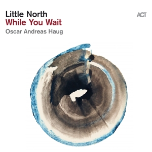 Little North - While You Wait in the group VINYL / Jazz at Bengans Skivbutik AB (5519542)