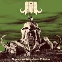 Acid Mammoth - Supersonic Megafauna Collision (Vin in the group OUR PICKS /  Christmas gift tip Vinyl at Bengans Skivbutik AB (5521442)