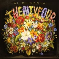 Al Di Meola - Twentyfour in the group CD / Pop-Rock at Bengans Skivbutik AB (5521564)