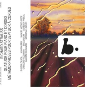 Richard Strauss - Quatuor Pour Piano Et Cordes - Meta in the group CD / Klassiskt at Bengans Skivbutik AB (5522090)