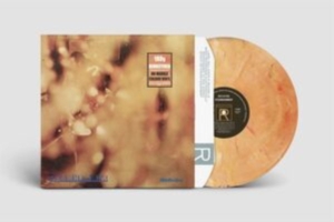 Steamhammer - Reflection (Marble Vinyl) in the group VINYL / Pop-Rock at Bengans Skivbutik AB (5522236)