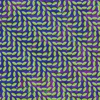 Animal Collective - Merriweather Post Pavillion in the group OUR PICKS / Friday Releases / Friday the 28th of June 2024 at Bengans Skivbutik AB (5522808)