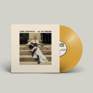 Aoife O'donovan - All My Friends (Yellow Vinyl) in the group VINYL / Pop-Rock at Bengans Skivbutik AB (5525837)