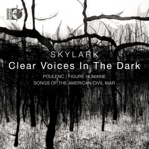 Skylark Matthew Guard - Clear Voices In The Dark in the group OUR PICKS / Christmas gift tip CD at Bengans Skivbutik AB (5535740)