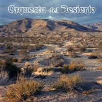 Orquesta Del Desierto - Orquesta Del Desierto (Orange Vinyl in the group OUR PICKS / Friday Releases / Friday the 14th of June 2024 at Bengans Skivbutik AB (5535796)