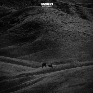 Nxworries - Why Lawd? in the group OUR PICKS / Friday Releases / Friday the 7th June 2024 at Bengans Skivbutik AB (5535941)