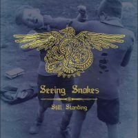 Seeing Snakes - Still Standing in the group VINYL / Pop-Rock at Bengans Skivbutik AB (5539038)