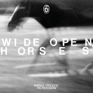 James Vincent Mcmorrow - Wide Open, Horses in the group OTHER / Övrigt / at Bengans Skivbutik AB (5539230)