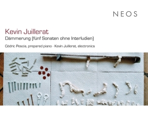 Cedric Pescia & Kevin Juillerat - Kevin Juillerat: Dämmerung (Fünf Sonaten Ohne Interludien) in the group OTHER / Övrigt / at Bengans Skivbutik AB (5539572)