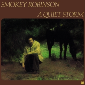 Smokey Robinson - A Quiet Storm in the group OTHER / Övrigt / at Bengans Skivbutik AB (5540391)