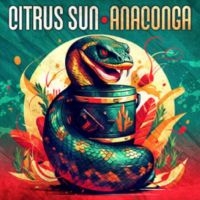 Citrus Sun - Anaconga in the group OUR PICKS / Friday Releases / Friday the 14th of June 2024 at Bengans Skivbutik AB (5540527)