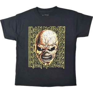 Iron Maiden - Big Trooper Head Boys T-Shirt Bl in the group MERCHANDISE / Merch / Hårdrock at Bengans Skivbutik AB (5548728r)