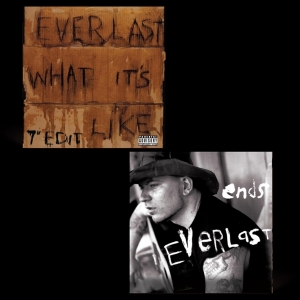 Everlast - What Its Like/Ends in the group OTHER / Övrigt / at Bengans Skivbutik AB (5548946)