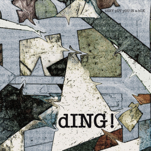 Ding - tHEY pUT yOU iN a bOX in the group VINYL / Pop-Rock at Bengans Skivbutik AB (5549172)