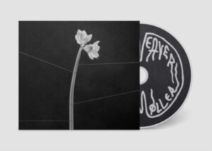 Trentemøller - Dreamweaver in the group OUR PICKS / Friday Releases / Friday the 13th of september 2024 at Bengans Skivbutik AB (5549533)