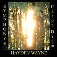 Hayden Wayne - Symphony #11: Carpe Diem in the group OUR PICKS / Friday Releases / Friday the 7th June 2024 at Bengans Skivbutik AB (5549782)