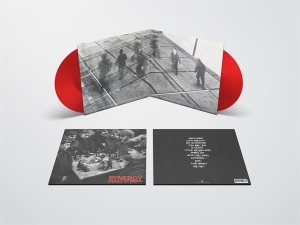 Jungle By Night - Synergy in the group OTHER / Övrigt / at Bengans Skivbutik AB (5550100)