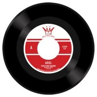 Ariel - Something Amazing in the group VINYL / Pop-Rock at Bengans Skivbutik AB (5550130)