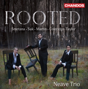 Neave Trio - Rooted in the group OUR PICKS / Friday Releases / Friday the 5th July at Bengans Skivbutik AB (5550311)