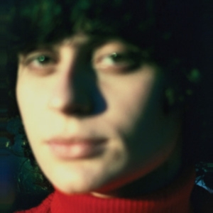 Ana Frango Eletrico - Little Electric Chicken Heart in the group OTHER / Övrigt / at Bengans Skivbutik AB (5551049)