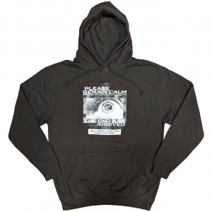 Bring Me The Horizon - Remain Calm Fp Uni Grey Hoodie in the group OTHER / Övrigt / at Bengans Skivbutik AB (5552115r)