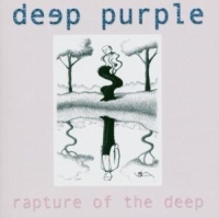 Deep Purple - Rapture Of The Deep in the group OUR PICKS / Christmas gift tip CD at Bengans Skivbutik AB (5552665)