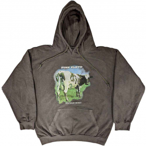 Pink Floyd - Atom Heart M Fade Char Hoodie in the group OTHER / Övrigt / at Bengans Skivbutik AB (5553930r)
