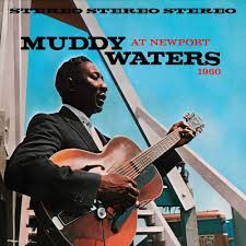 Muddy Waters - Muddy Waters At Newport in the group OTHER / -Startsida LP-MAX at Bengans Skivbutik AB (5555909)