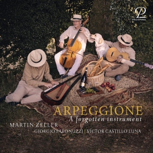 Martin Zeller - Schubert: Arpeggione - A Forgotten in the group OUR PICKS / Frontpage - CD New & Forthcoming at Bengans Skivbutik AB (5557053)