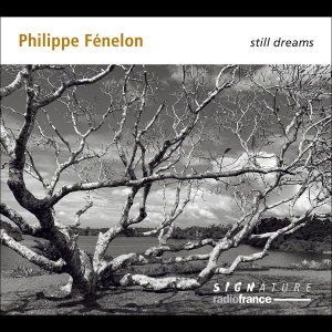 Philippe Fénelon - Still Dreams in the group OUR PICKS / Friday Releases / Friday the 23rd of August at Bengans Skivbutik AB (5558110)