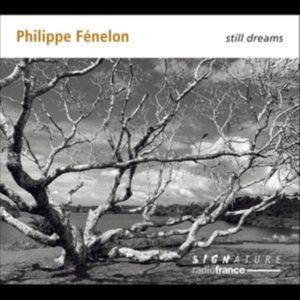 Philippe Fénelon - Still Dreams in the group OUR PICKS / Friday Releases / Friday the 23rd of August at Bengans Skivbutik AB (5558110)