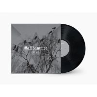 Gallhammer - End The (Vinyl Lp) in the group OUR PICKS / Friday Releases / Friday the 2th august at Bengans Skivbutik AB (5558276)