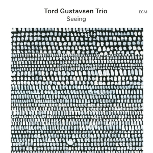 Tord Gustavsen Trio - Seeing in the group CD / Upcoming releases / Jazz,Norsk Musik at Bengans Skivbutik AB (5558451)