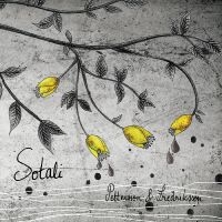 Pettersson & Fredriksson - Sotali in the group OUR PICKS / Friday Releases / Friday the 16th of August at Bengans Skivbutik AB (5558552)