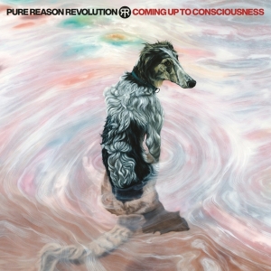 Pure Reason Revolution - Coming Up To Consciousness in the group OTHER / Övrigt / at Bengans Skivbutik AB (5558837)