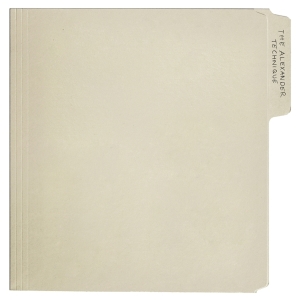 Rex Orange County - The Alexander Technique in the group VINYL / Pop-Rock at Bengans Skivbutik AB (5559797)