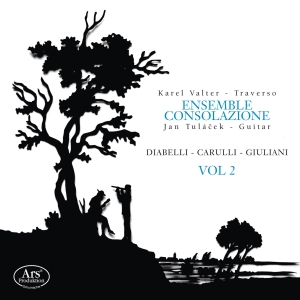 Giuliani/Carulli/Diabelli - Giuliani/Carulli/Diabelli - Works F in the group OUR PICKS / Christmas gift tip CD at Bengans Skivbutik AB (5559810)