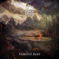 Dark Fortress - Venereal Dawn (2 Lp White Vinyl) in the group OUR PICKS / Friday Releases / Friday the 30:th august 2024 at Bengans Skivbutik AB (5560173)