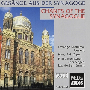 Louis Lewandowski Salomon Sulzer - Chants Of The Synagogue in the group OUR PICKS / Christmas gift tip CD at Bengans Skivbutik AB (5561042)