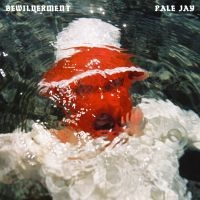 Pale Jay - Bewilderment in the group VINYL / RnB-Soul at Bengans Skivbutik AB (5561284)