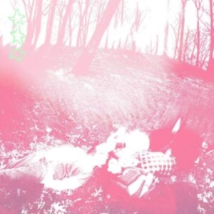 Shower Curtain - Words From A Wishing Well in the group CD / Pop-Rock at Bengans Skivbutik AB (5561793)