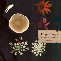 Largo Hugo - Huge, Large And Electric: Hugo Larg in the group MUSIK / Dual Disc / Pop-Rock at Bengans Skivbutik AB (5562657)