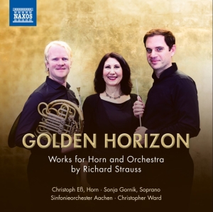 Christoph Ess Sonja Gornik Sinfon - Strauss: Golden Horizon in the group OUR PICKS / Friday Releases / Friday the 11th october 2024 at Bengans Skivbutik AB (5563079)