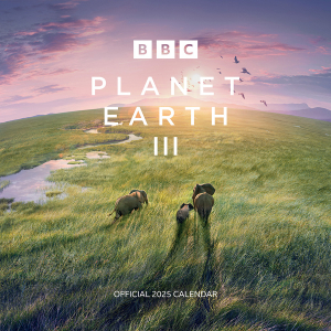 Bbc Earth  - 2025 Square Calendar  in the group MERCHANDISE / Merch / Nyheter / TV-serie at Bengans Skivbutik AB (5563858)