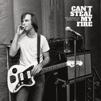 Various Artists - Can't Steal My Fire: The Songs Of D in the group VINYL / Upcoming releases / Pop-Rock at Bengans Skivbutik AB (5563961)