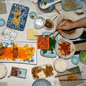 The Vices - Before It Might Be Gone in the group OTHER / Övrigt / at Bengans Skivbutik AB (5564770)