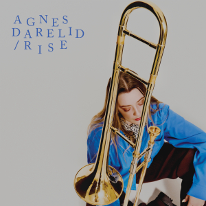 Agnes Darelid - Rise in the group VINYL / Upcoming releases / Jazz at Bengans Skivbutik AB (5564825)