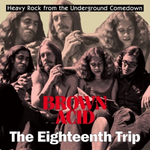 Various Artists -  Brown Acid: The 18Th Trip in the group VINYL / Hårdrock at Bengans Skivbutik AB (5565676)