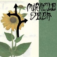 Miracle Debt - Under The Shadow in the group VINYL / Upcoming releases / Pop-Rock at Bengans Skivbutik AB (5565841)