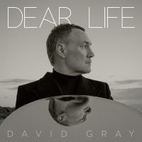 David Gray - Dear Life in the group VINYL / Upcoming releases / Pop-Rock at Bengans Skivbutik AB (5565975)